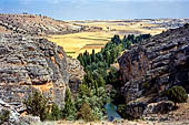 Hoces del ro Riaza, Montejo Spagna - Vallejo del Charco.